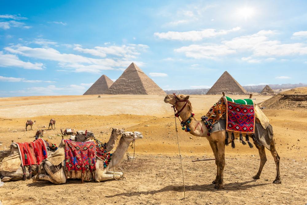 8 choses que vous ne devez pas faire en Égypte
