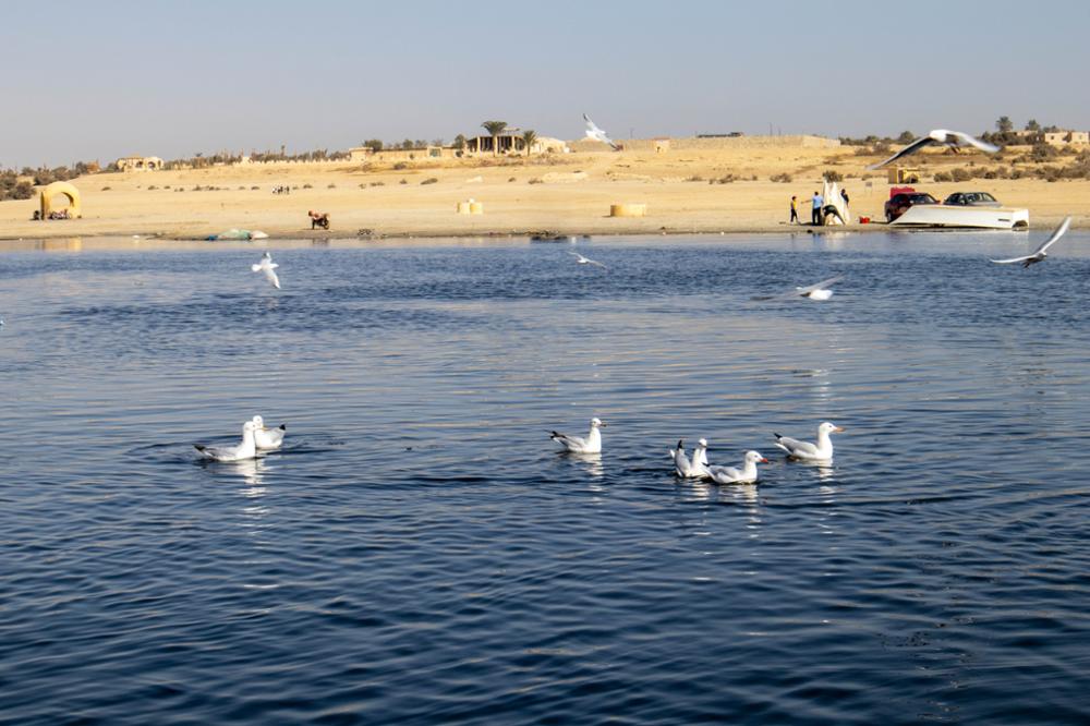 Quels sont les plus beaux lacs d'Égypte ?