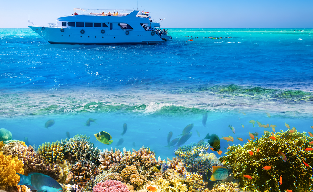 Quels sont les plus beaux parcs naturels d'Égypte ?