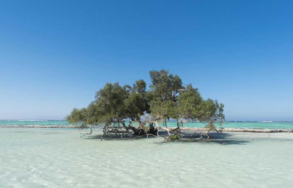 Quels sont les plus beaux parcs naturels d'Égypte ?