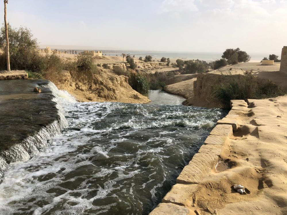 Quels sont les plus beaux parcs naturels d'Égypte ?